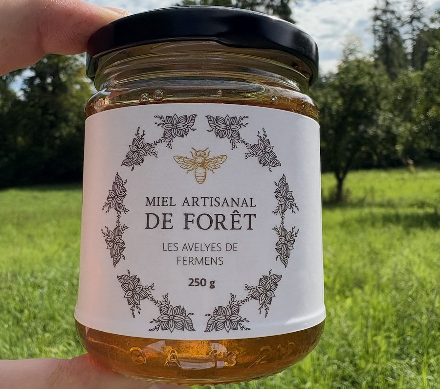 Pot de miel artisanal de forêt des Avelyes de Fermens, tenu devant un pré